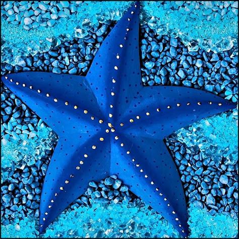 Shades Of Blue By Sherpet Dpchallenge Ocean Creatures Starfish