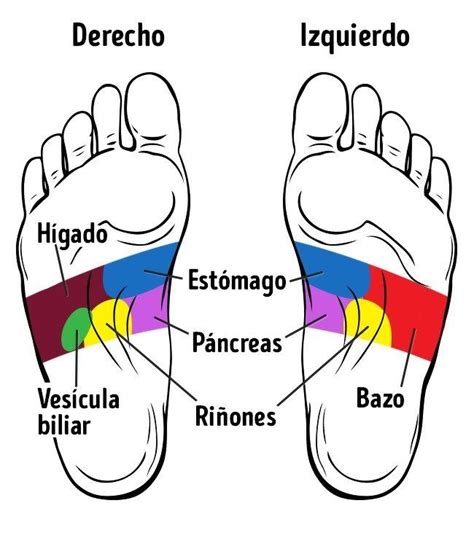 21 Puntos En Los Pies Que Mejoran Tu Salud En 2020 Masaje De Pies