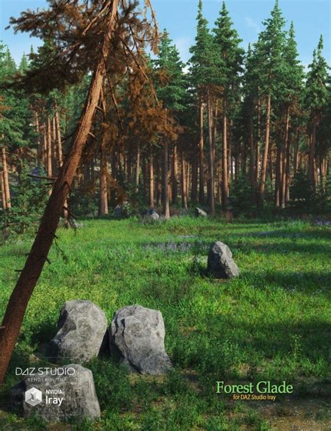 Forest Glade Render State