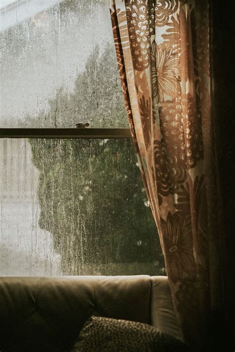 Download Premium Image Of Rainy Day Outside The Window By Felix About