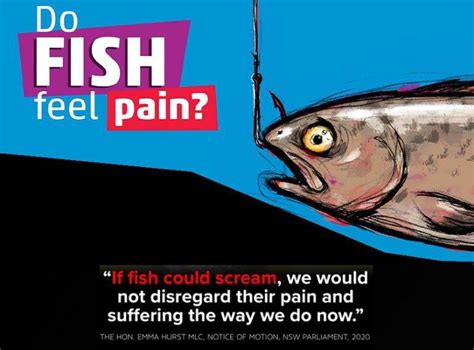 Can Fish Suffer Or Feel Pain Vanguard News