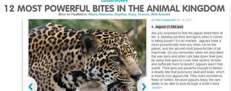 Jaguar vs Lion - Off-Topic - Comic Vine