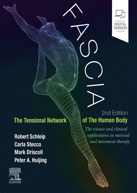 Fascia The Tensional Network Of The Human Body