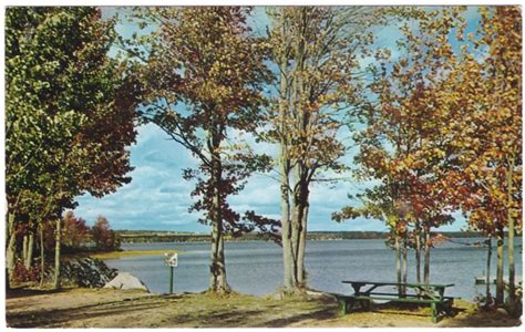Lake George Provincial Park New Brunswick Vintage Chrome Postcard Ebay