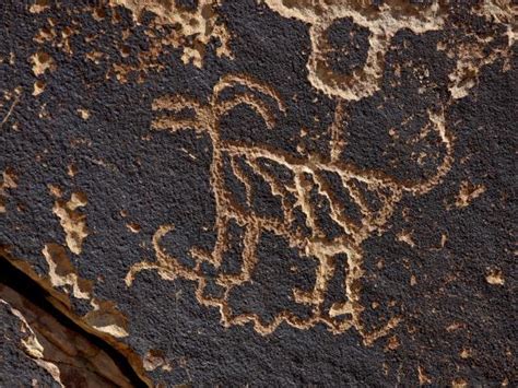 Bighorn Sheep Petroglyph Petrified Forest National Park Arizona Usa
