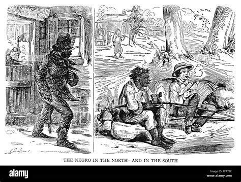 Slavery Cartoon C Na Northern American Cartoon C