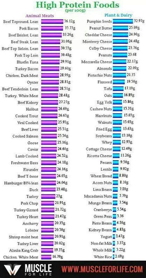 Image Result For High Protein Food List Pdf High Protein Foods List