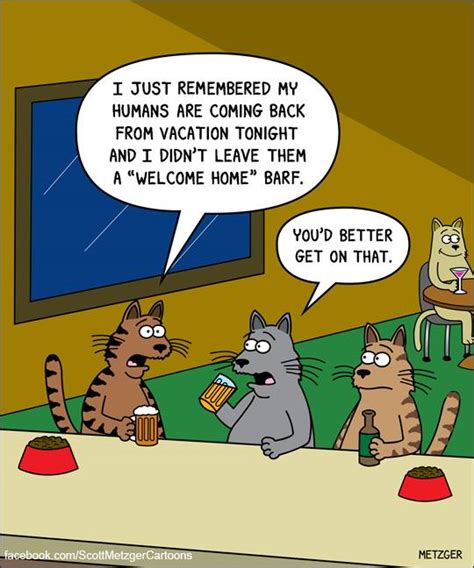 26 Adorably Funny Cat Cartoons That Will Get You Through The Day