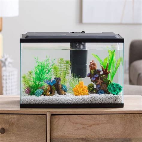 35 Modern Mini Aquarium Designs For Your Small Spaces Fish Aquarium