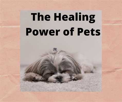 Natural calming formula, dog supplement, behavior improvement How Dogs Can Help with Anxiety - Family Support