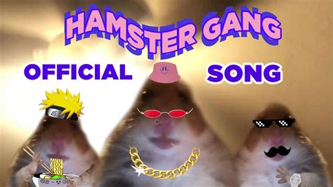 Tiktok Hamster What Is Tiktok Hamster Cult Profile Picture With