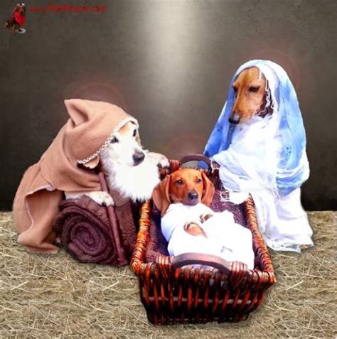 Dachshund Nativity Tableau Photophpfbid