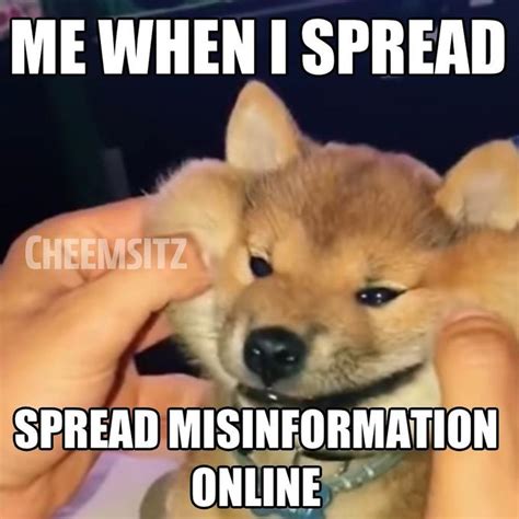 Me When I Spread Misinformation Online Spreading Misinformation