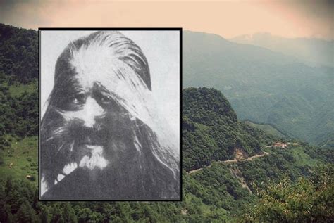 Wildman Chinese Version Of Bigfoot Sightings Scientific Tests