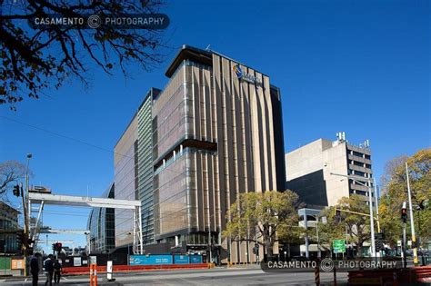 The University Of Melbourne Parkville Campus — Casamento Photography