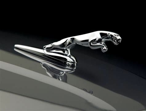Download High Quality Car Logo Jaguar Transparent Png Images Art Prim