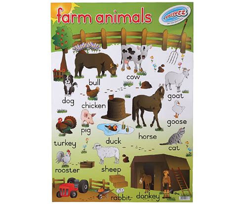 Farm Animals Poster Uk