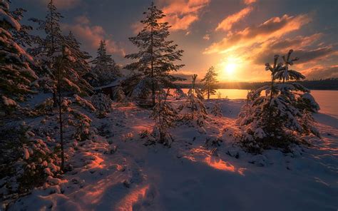 Ringerike Snow Lake Sunset Trees Ate Norway Winter Hd Wallpaper