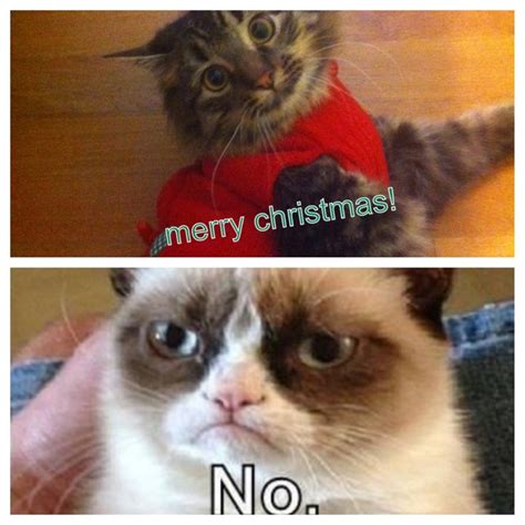 Merry Christmas Grumpy Cat!  Danny Hahaha  Pinterest