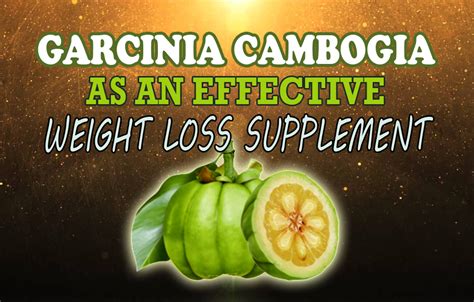 garcinia cambogia as an effective weight loss supplement healthsupplements