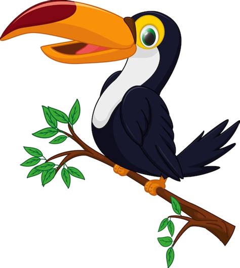 Premium Vector Cute Toucan Bird Cartoon