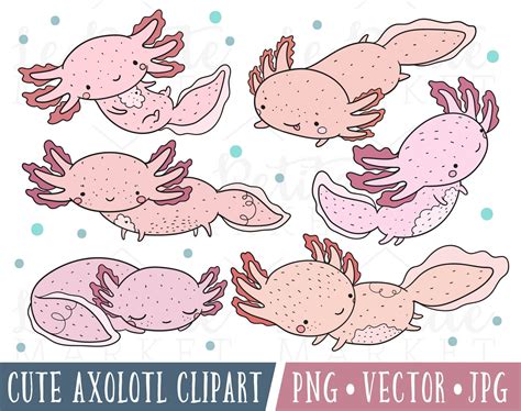 Cute Axolotl Clipart Images Cute Axolotl Illustrations Etsy Clip