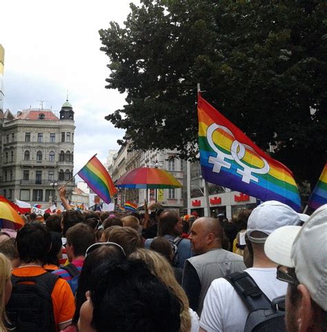 Kromě tradičního sobotního průvodu prahou, který je vrcholem celého festivalu, pravidelně představuje množství veřejných diskusí a debat, workshopů. Prague Pride 2014 - What to Do at the Central European Pride