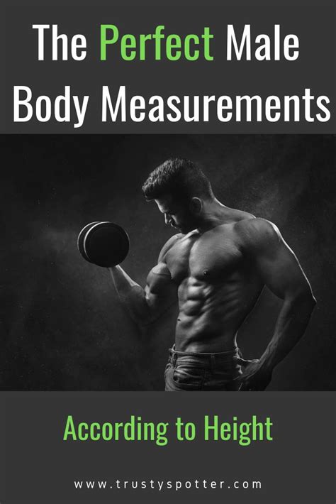 Perfect Male Body Measurements According To Height Ideal Bicep Back