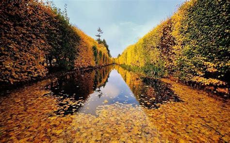 Autumn River Thick Trees Along The Banks Autumn Landscape Autumn