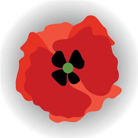 Best Remembrance Day Illustrations Royalty Free Vector Graphics And Clip