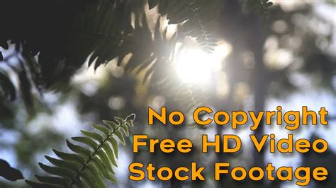 You'll find all sites to buy this image and see similar ones. No Copyright | Free HD Video | Stock Footage - Neutral ...