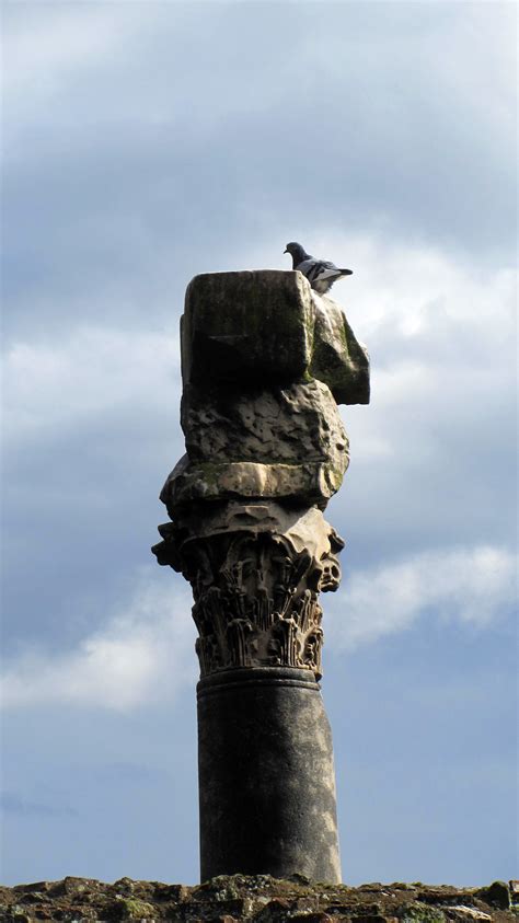 Free Images Tree Rock Sky Monument Statue Landmark Sculpture