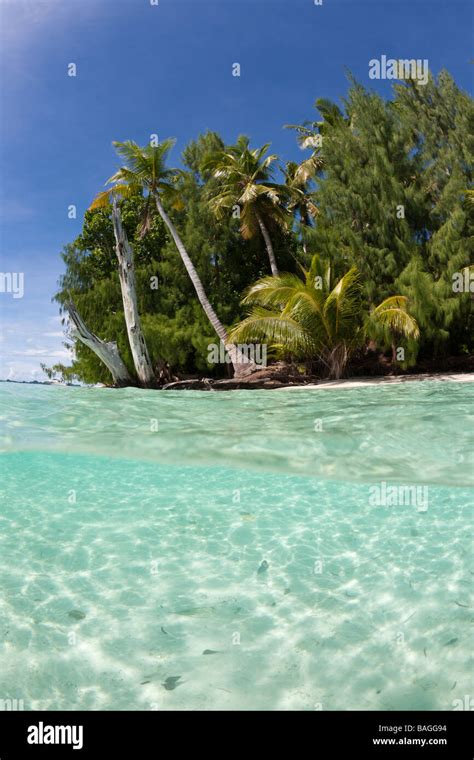 Lagoon And Palm Lined Beach Micronesia Palau Stock Photo Alamy