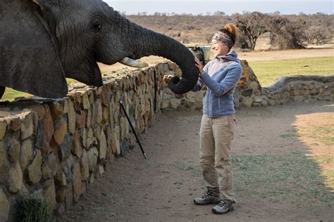 Shongololo express im luxuszug durch das südliche afrika. Afrika Safari Urlaub | Erfahrungen aus Südafrika und Namibia
