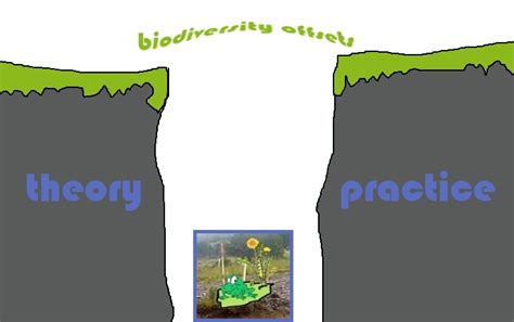 Download file to see previous pages e paper focuses on the difficulties and huddles facing the harmonization of accounting standards and practices and provides a possible solution to the problems it is facing. The theory-practice gap in biodiversity offsets - a ...