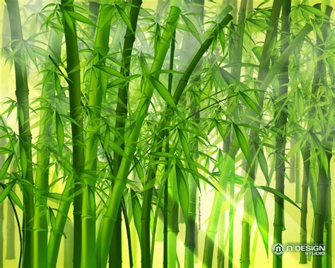 Anime Bamboo Forest Wallpaper