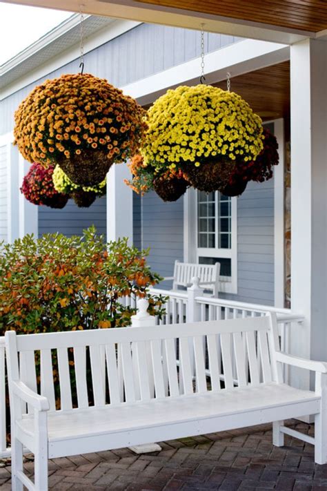 10 Fall Hanging Basket Ideas