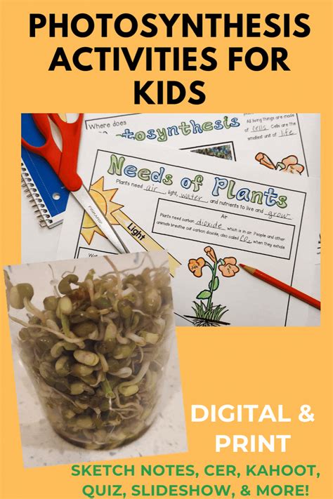 Do You Want To Grow Seeds And Teach A Hands On Photosynthesis Activity