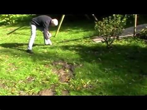 About press copyright contact us creators advertise developers terms privacy policy & safety how youtube works test new features press copyright contact us creators. Wühlmaus / Wühlmäuse vertreiben bekämpfen / Hilfe bei ...