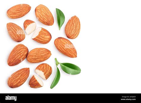 Almonds Nuts With Leaves Isolated On White Background With Clipping