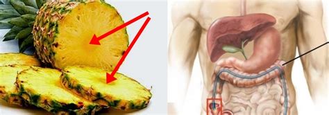 Lihat juga resep asinan buah seger dan enak enak lainnya. JANGAN DIBUANG! Bonggol Buah Nanas Adalah Obat Anti Kanker ...