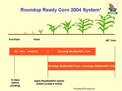 How did farmers react when roundup ready soybeans were presented? Roundup WeatherMAX Post ? Roundup WeatherMAX PostRoundup ...