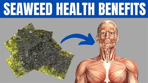 Seaweed Benefits 15 Amazing Health Benefits Of Seaweed You Should Know