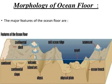 Features Of The Ocean Floor Diagram Wiring Diagram Database