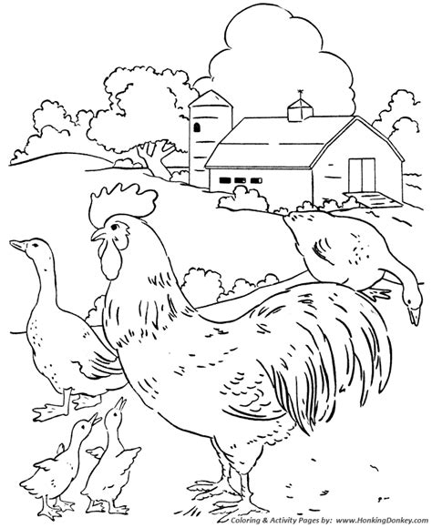 Farm Life Coloring Pages Chickens And Geese In The Barn