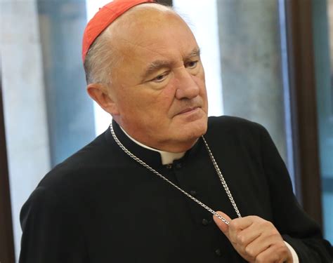 Kardynał kazimierz nycz zastanawia się, czy odwiedzić protestujących w sejmie rodziców niepełnosprawnych dzieci. Kardynał Kazimierz Nycz o biskupie Tadeuszu Pieronku ...