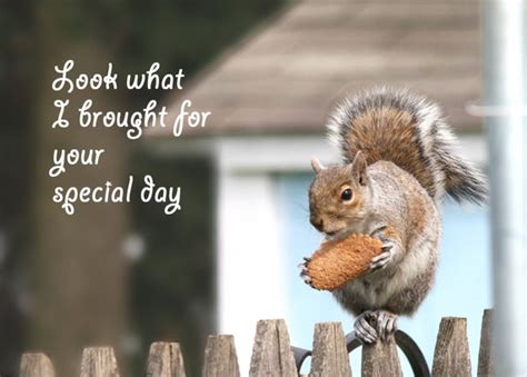 Happy Birthday Card Squirrel Birthday Greeting By Belvidesigns