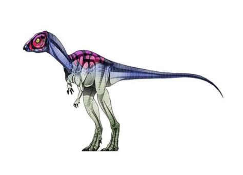 Micropachycephalosaurus Description Size Fossil Diet And Facts