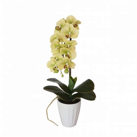 40cm Butterfly Artificial Orchid Cream Designer Plants®