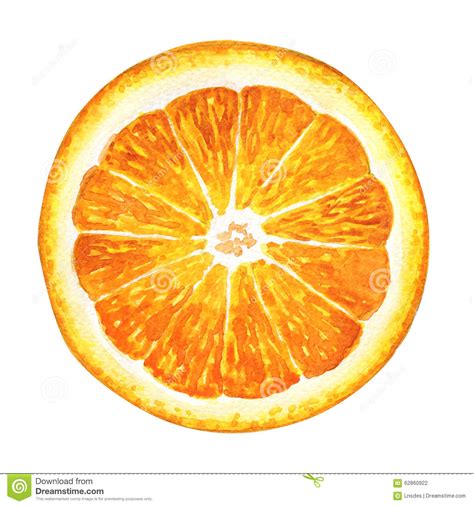 Slice Of Fresh Orange Isolated On White Background Stock Photo Image